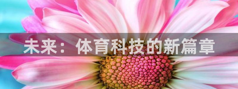 球速体育