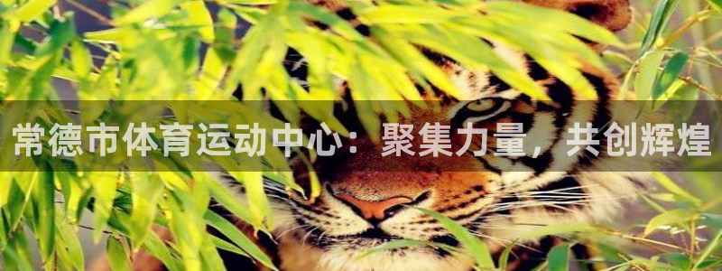 球速体育