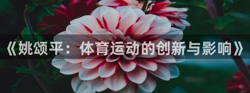 球速体育