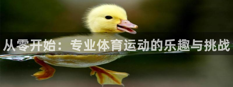 球速体育