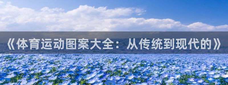 球速体育：《体育运动图案大全：从传统到现代的》