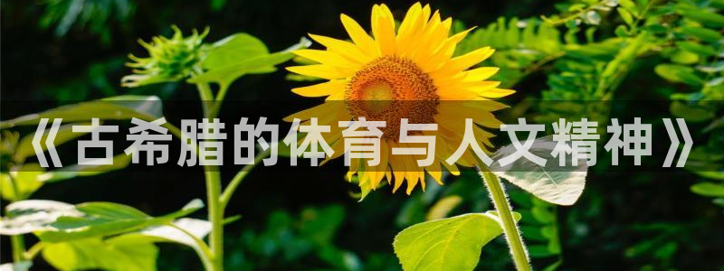 球速体育：《古希腊的体育与人文精神》