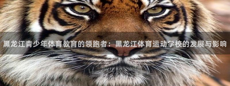 球速体育