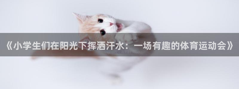 球速体育