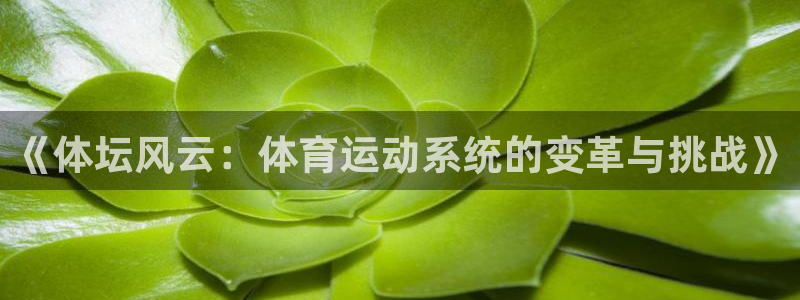 球速体育