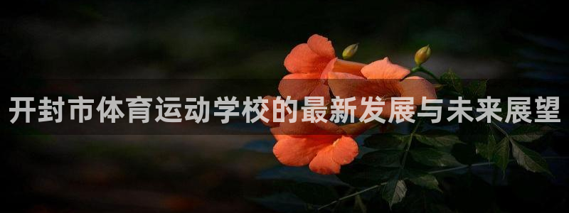 球速体育：开封市体育运动学校的最新发展与未来展望