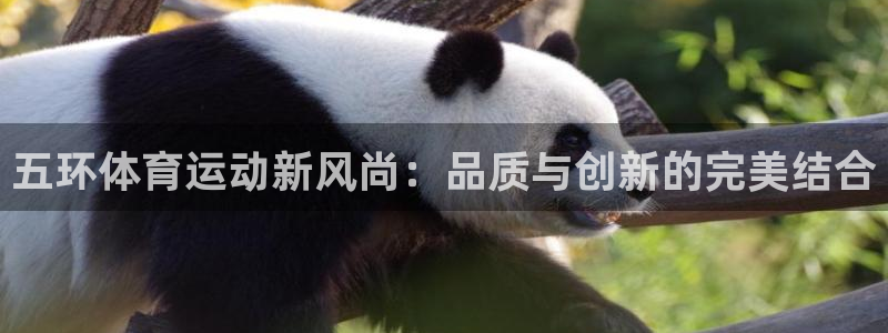 球速体育：五环体育运动新风尚：品质与创新的完美结合